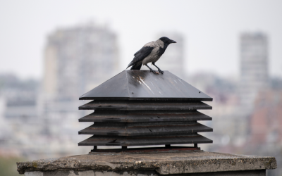 What Are Chimney Caps and What Do They Do?